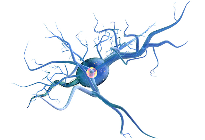 700x480 Peripheral Nerve Injury Saebo
