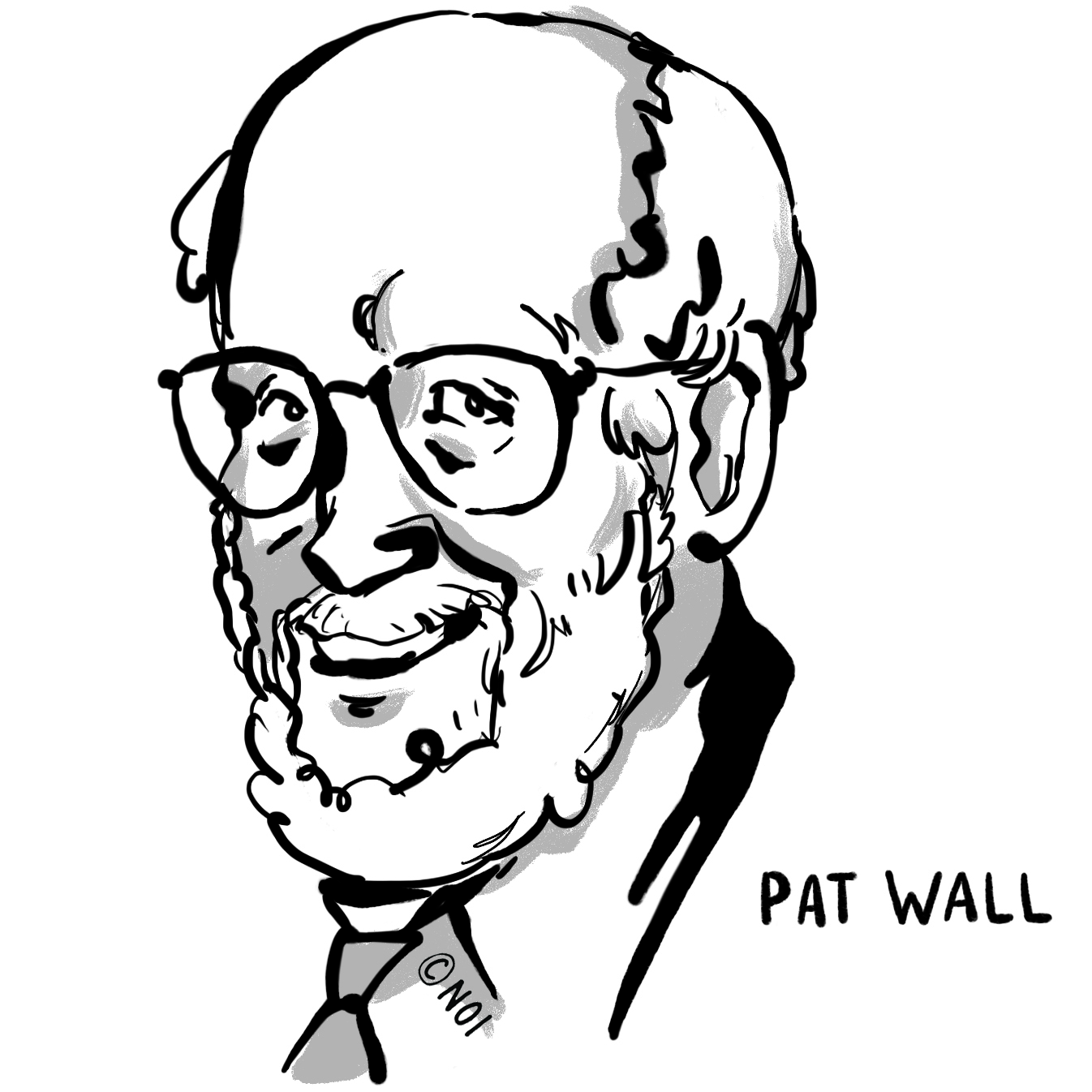 1346x1346 The Unfortunate Trivialisation Noijam