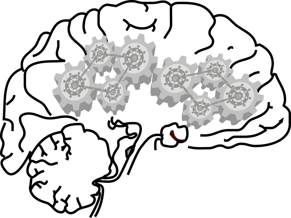 1002x750 Human Brain Central Nervous System Neuron Cc0