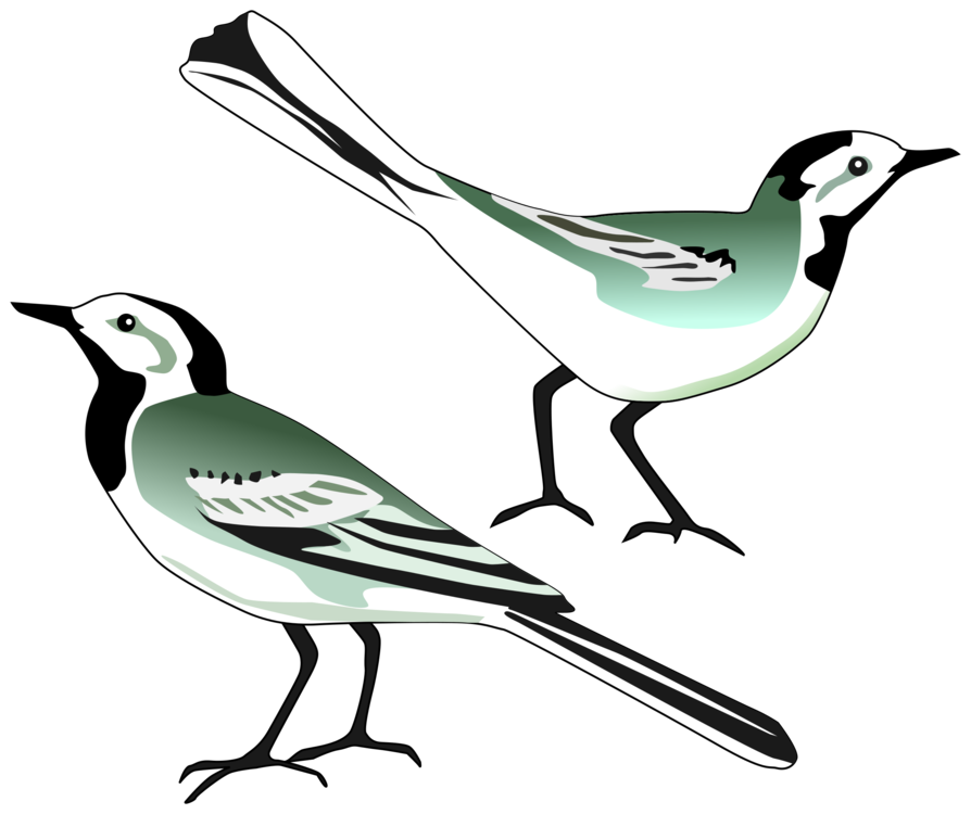 894x750 Bird Nest White Wagtail Computer Icons Drawing Cc0