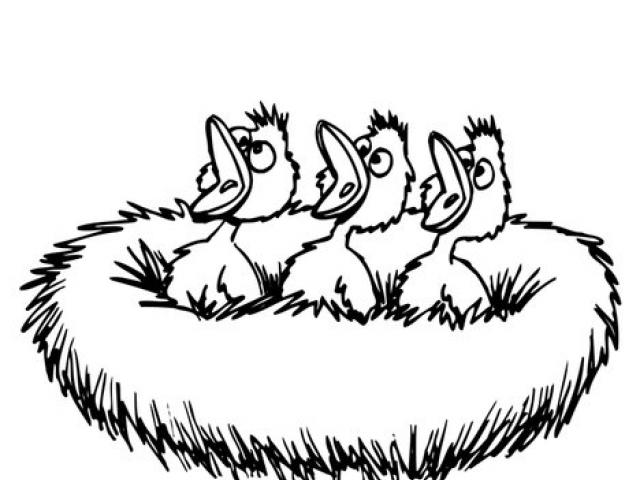 640x480 Birds Nest Clipart Free Clip Art Stock Illustrations