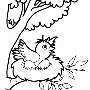 300x300 Coloring Pictures Of Bird Nests Refrence Bird Nest Drawing