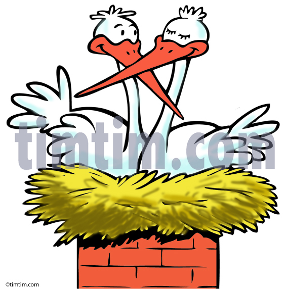 573x572 Free Drawing Of A Stork Nest From The Category Birds Insects