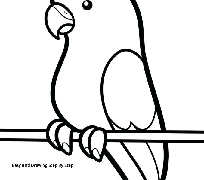 678x600 How To Draw A Easy Bird