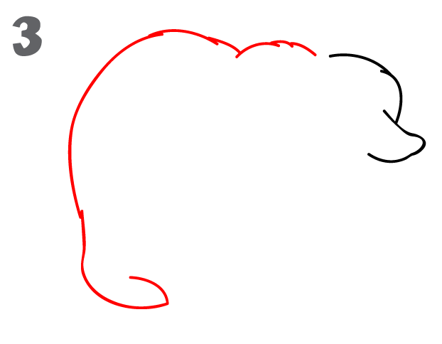 622x484 How To Draw A Bear