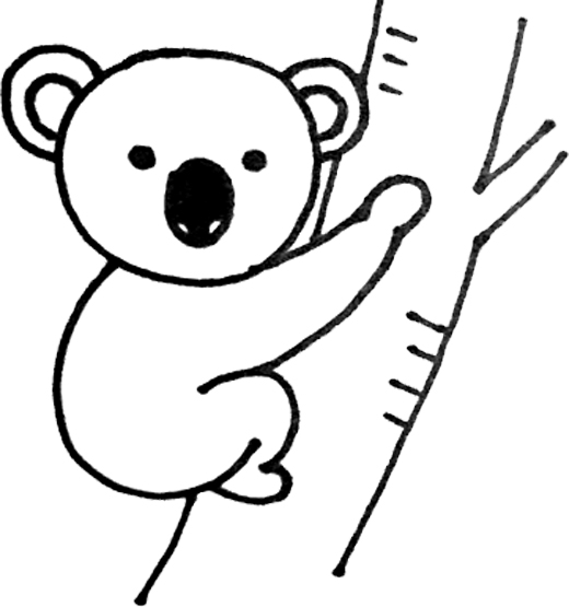 520x555 How To Draw A Koala For Kid