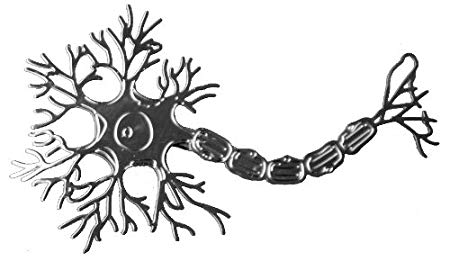 450x261 Neuron Ornament Kitchen Home