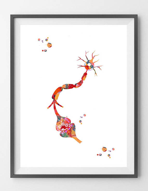 570x735 Neuron And Receptor Watercolor Print Brain Synapse Print