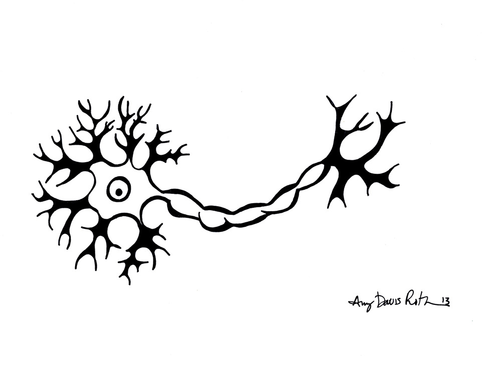 1000x757 Surly Amy Art