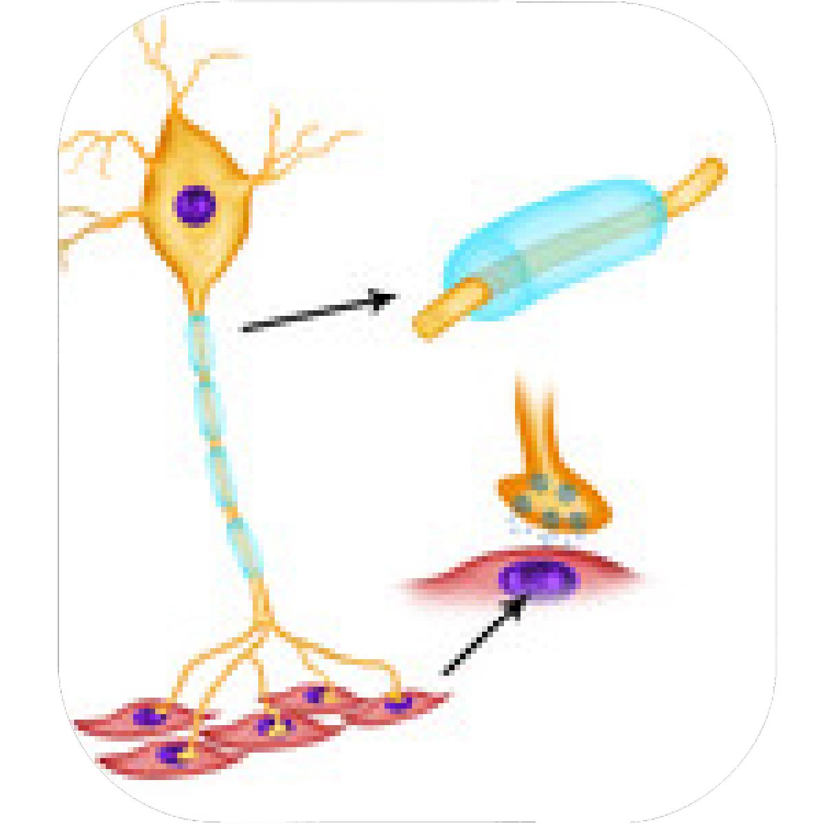 1200x1200 Designs Mein Mousepad Design Mousepad Selbst Designen