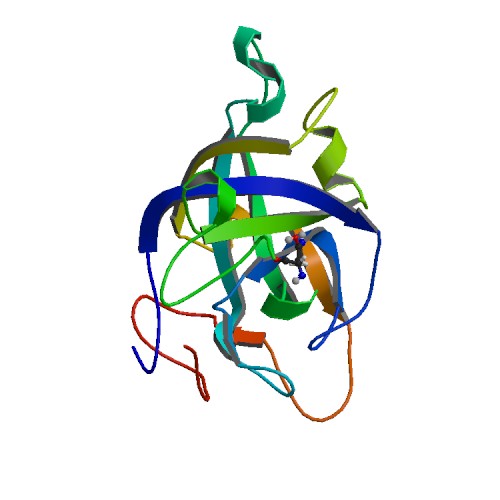 500x500 Rcsb Pdb