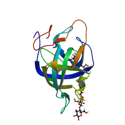 500x500 Rcsb Pdb