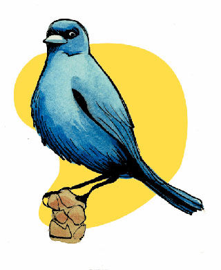 320x390 Critters Of Southern Arizona Science