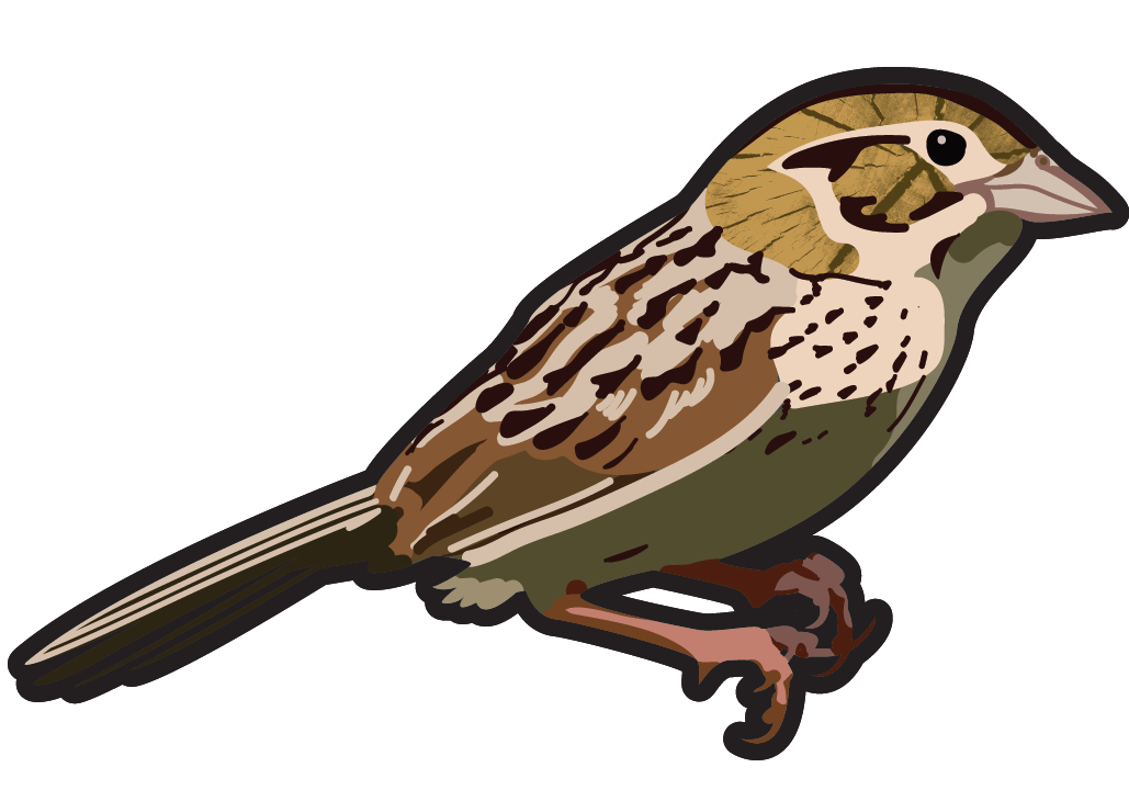 1029x720 For The Birds