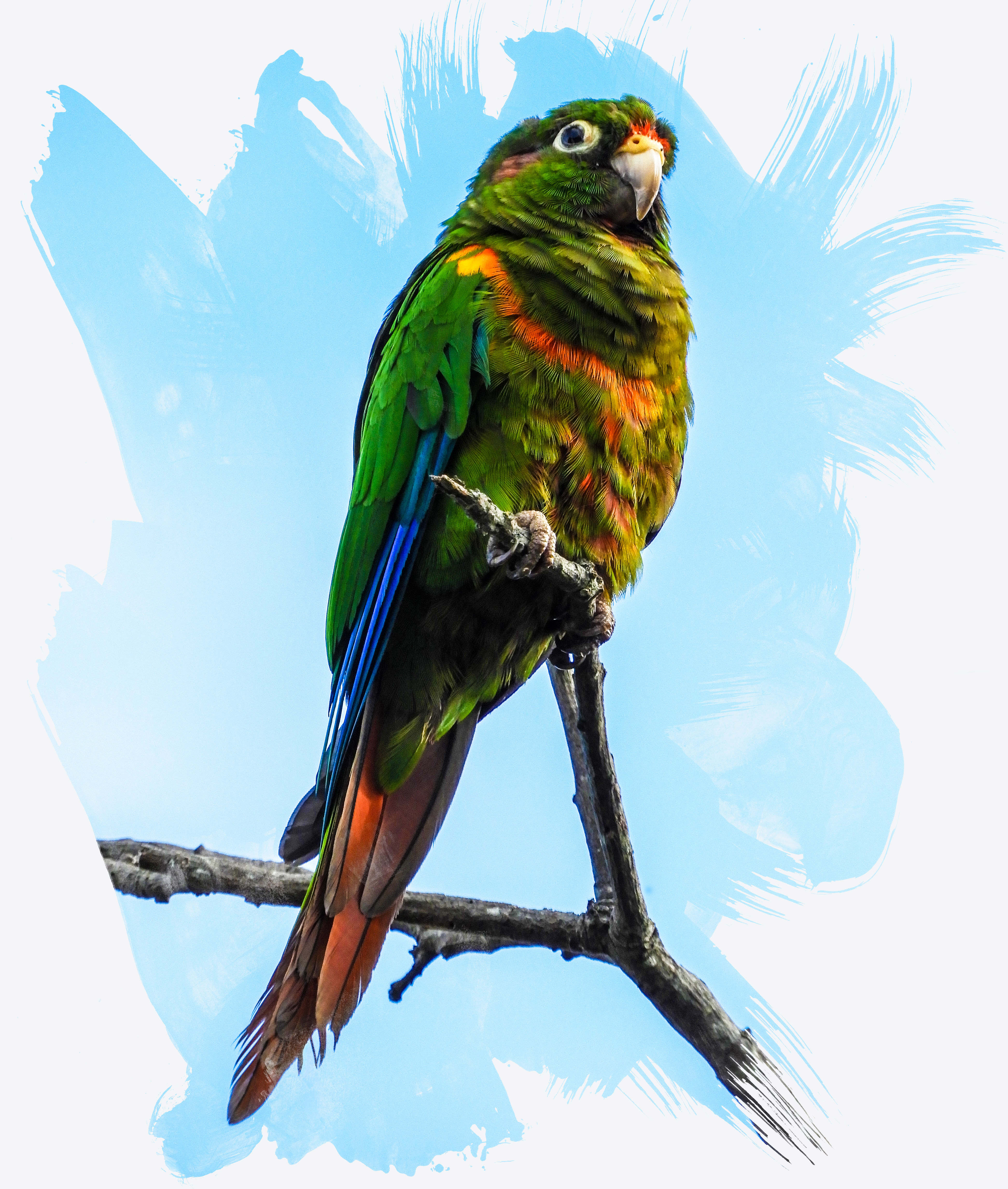 3888x4584 Nature Colombia Prepare To Be Amazed With Reasons You Have