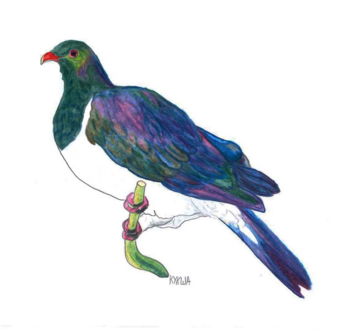 1111x1092 Birds Ecology