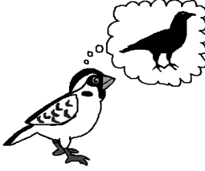 300x250 Quoth The Raven, Nevermore