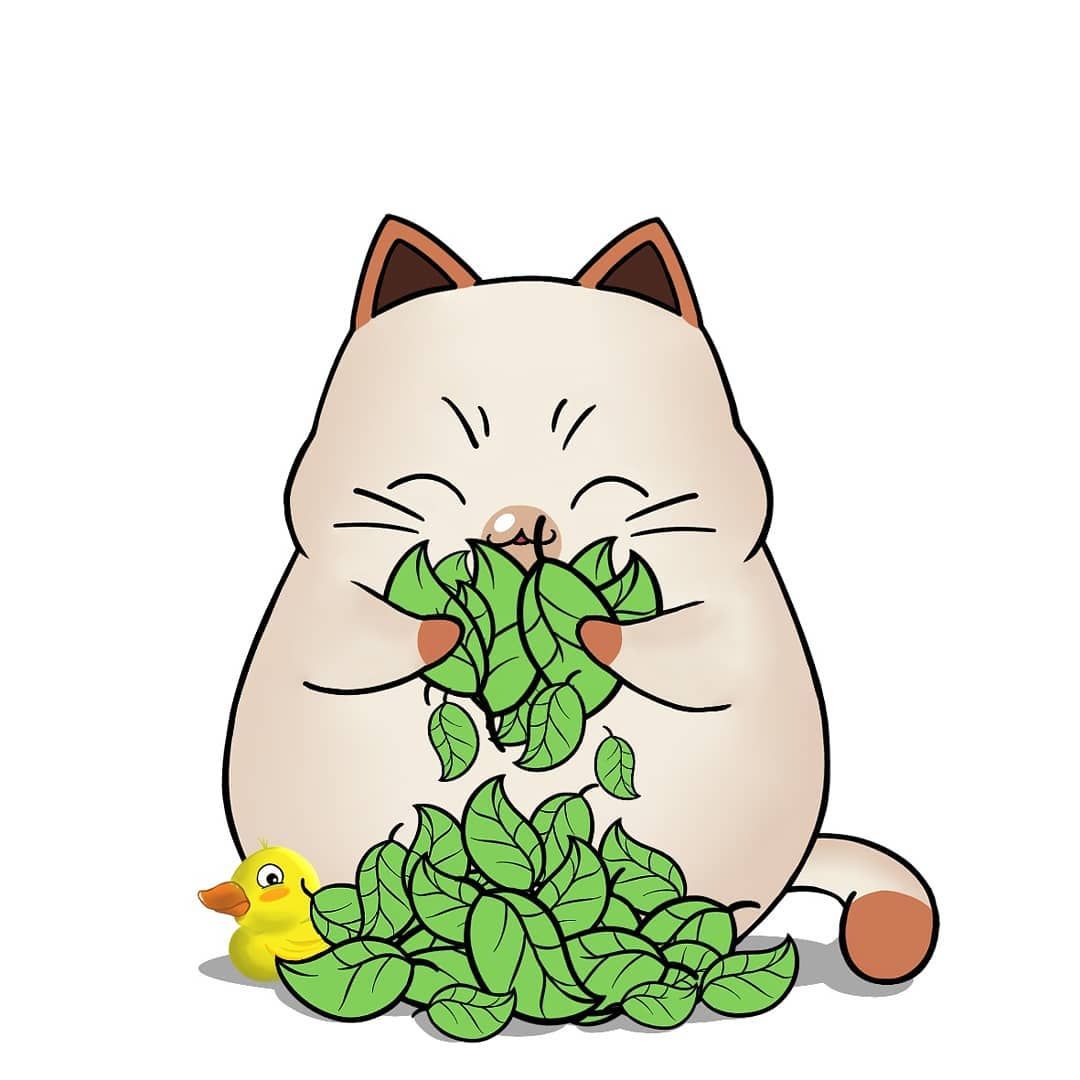 1080x1080 New The Best Home Decor