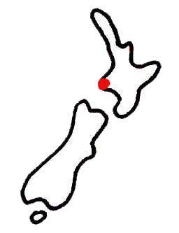 256x333 The Taranaki Sketchers