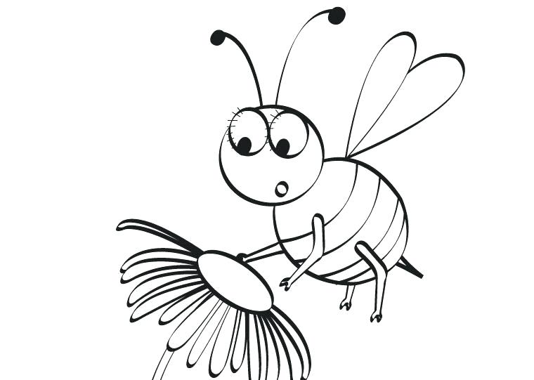 760x541 Bee Drawing Step