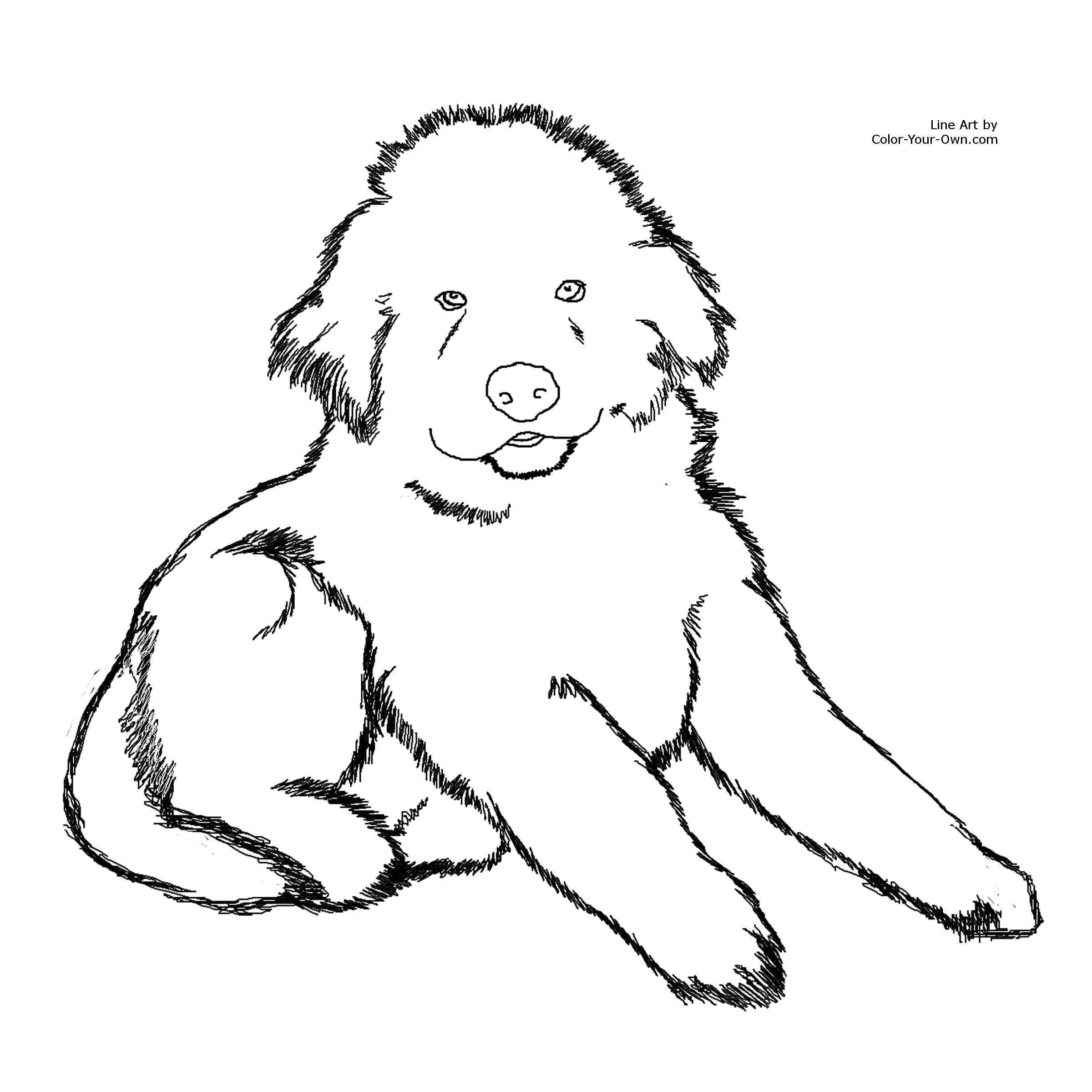 2400x2400 Dog Coloring Pages