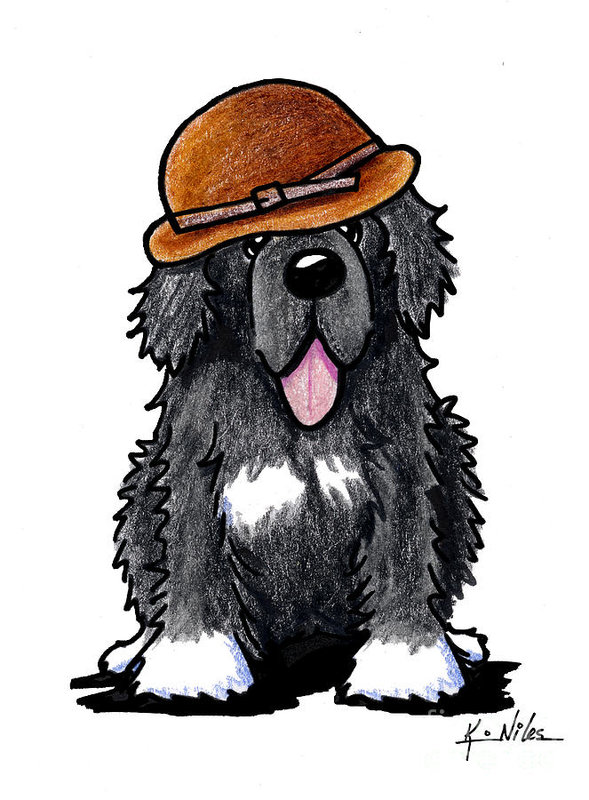 589x800 kiniart newfoundland art print