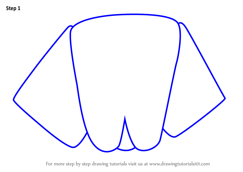 844x598 learn how to draw a newfoundland dog face for kids