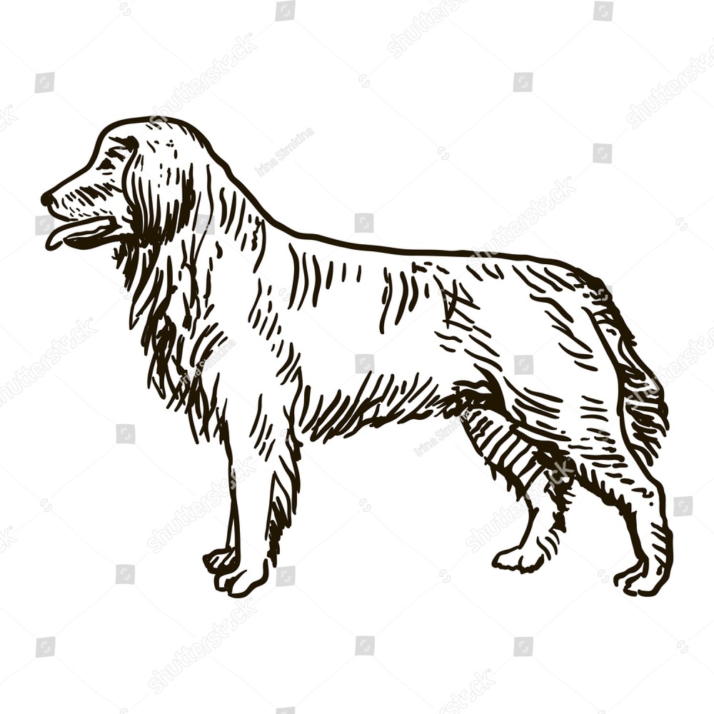 1000x1000 German Shepherd In A Jump Ez Canvas