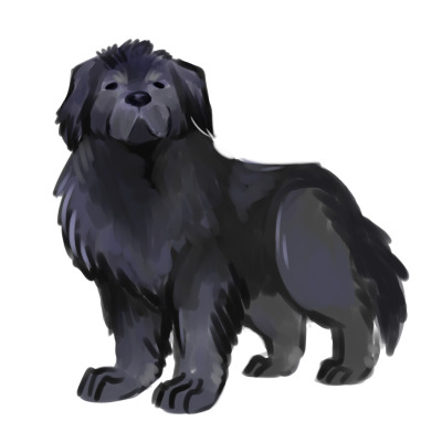 400x400 newfoundland dog tumblr