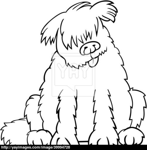 502x512 newfoundland dog cartoon for coloring book vector