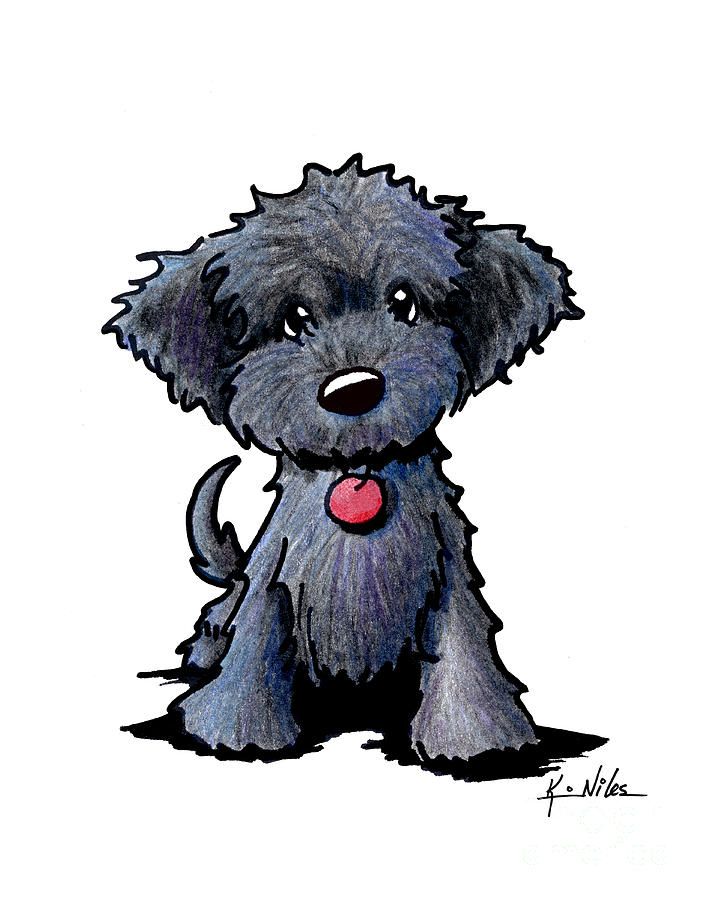 707x900 Black Doodle Puppy