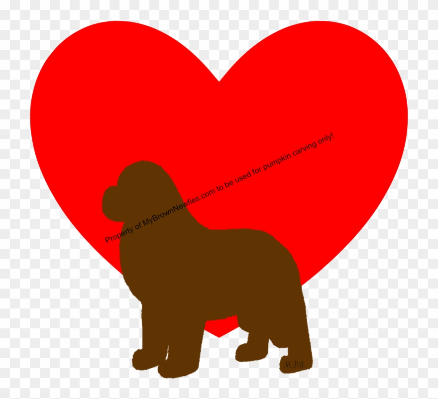 880x802 brown newfoundland dog heart pattern