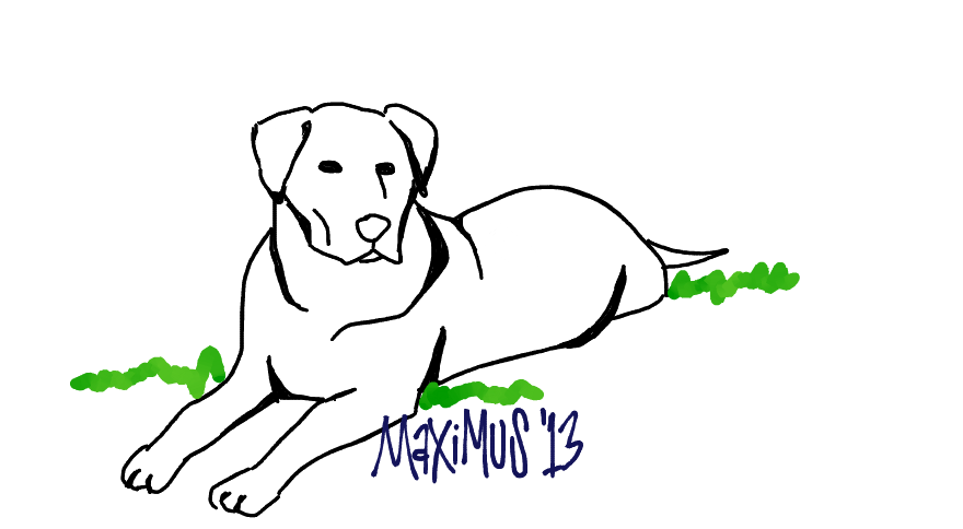 880x484 Collection Of Free Labrador Drawing Doodle Download On Ui Ex