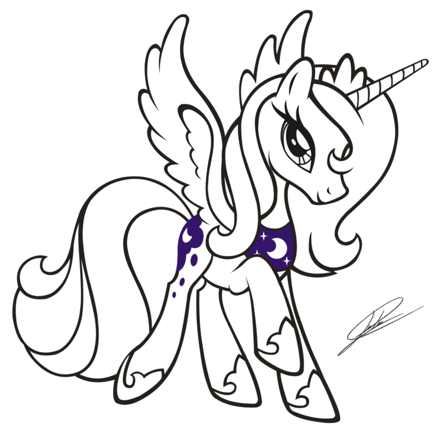 900x888 How To Draw A Newfoundland Pony