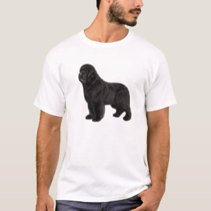 307x307 Newfoundland Dog Drawing Gifts On Zazzle