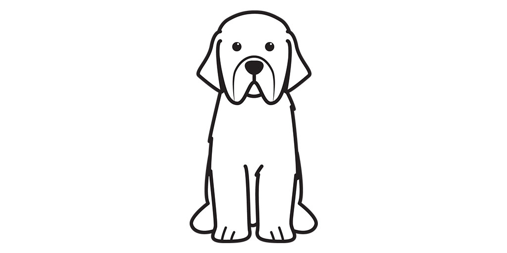 1024x512 Newfoundland