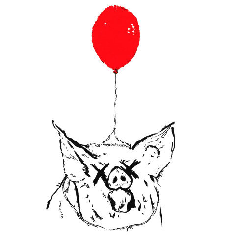 481x480 music frankie the pig