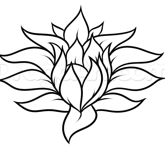 678x600 Nice Easy Flower Drawings Flowers Easy To Draw Drawing A Pretty