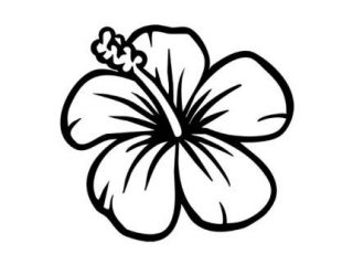 320x240 nice easy flower drawings nice easy drawing