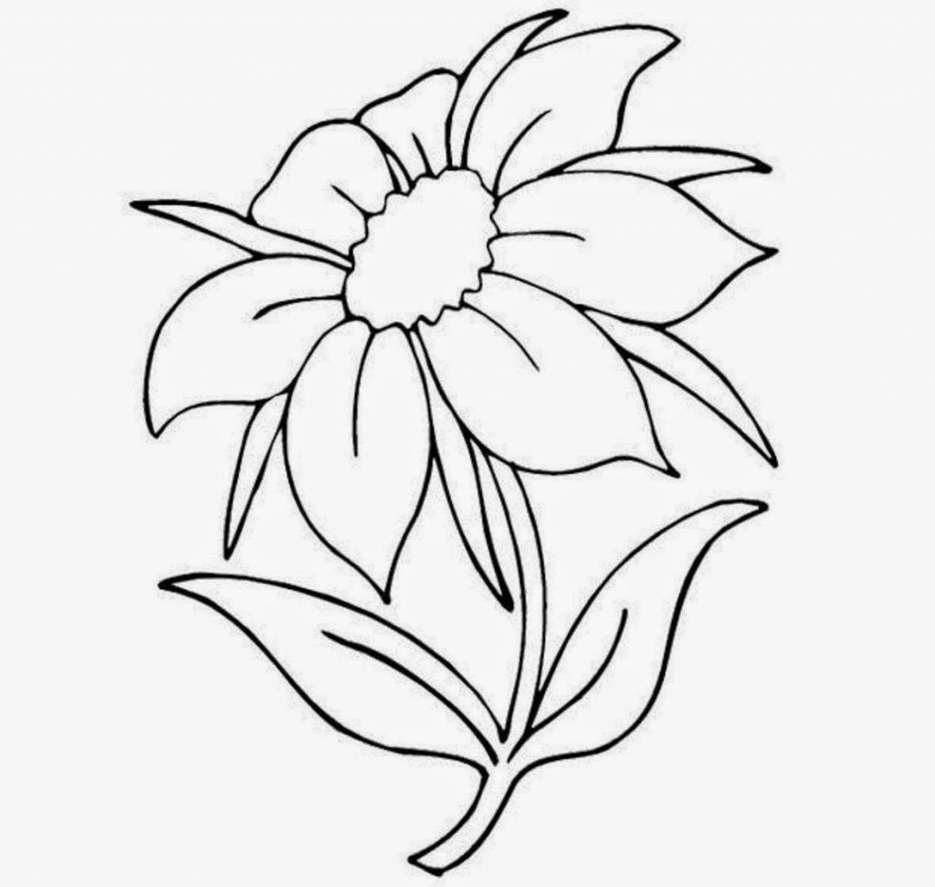 1024x971 nice flower drawings nice flowers in drawing easy flower drawings