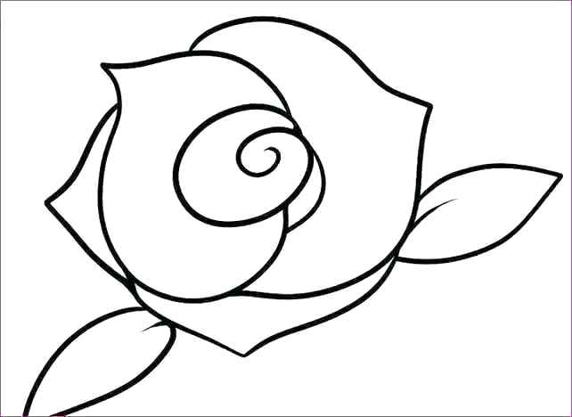 642x468 Pretty Flower Drawings