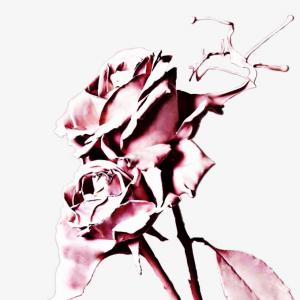 300x300 beautiful flower drawing nice easy flower drawings nice flowers