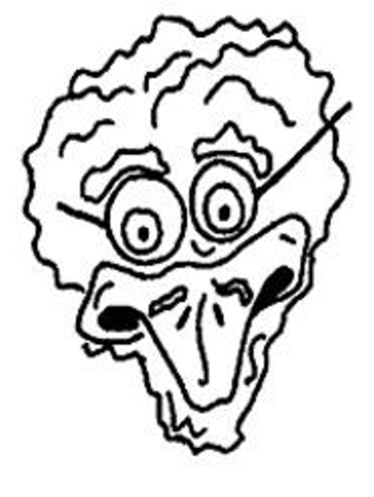 1280x1702 chicken scratch night day st louis st louis news