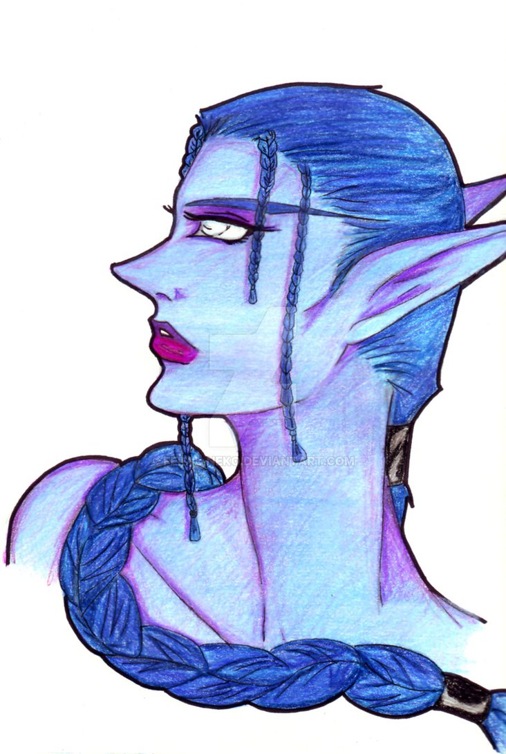 732x1091 Night Elf Druid