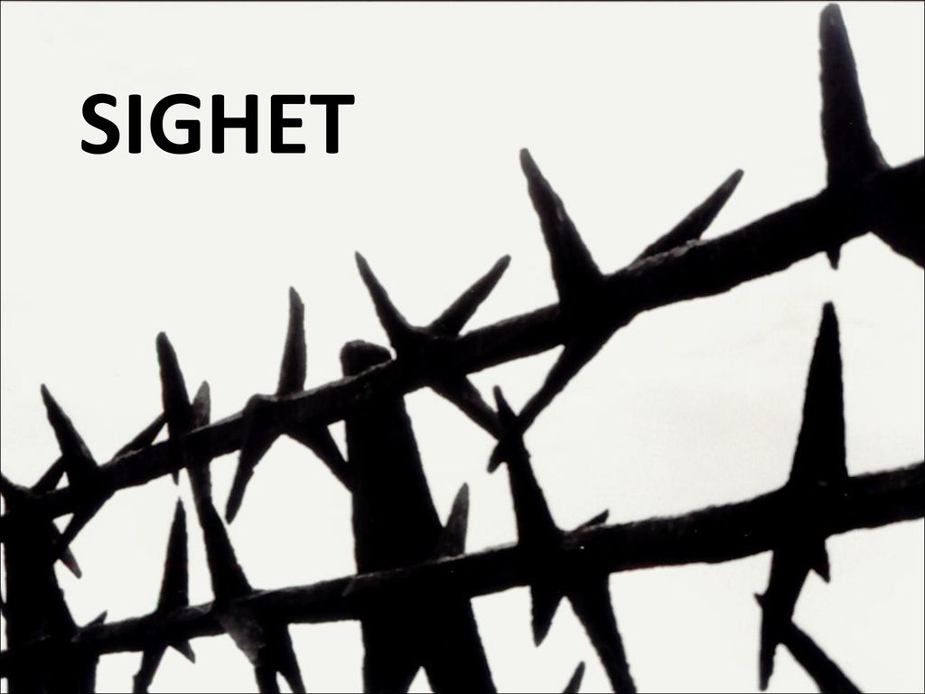 1024x768 Catch Something Like It