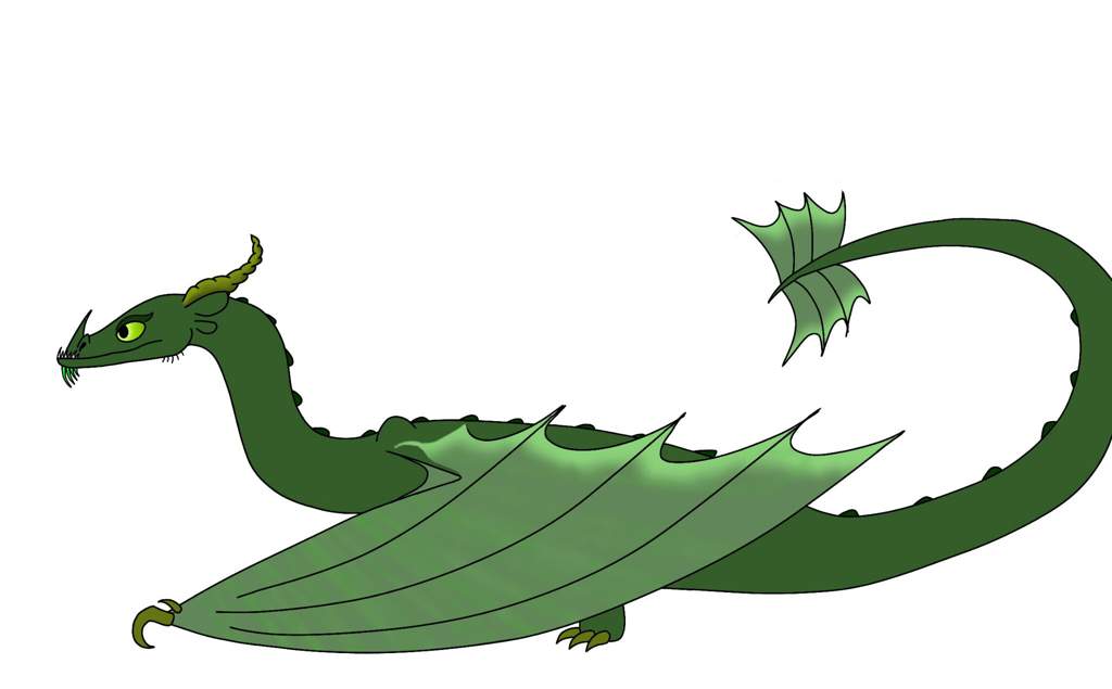 1024x635 First Fern Drawing H T T Y D Amino