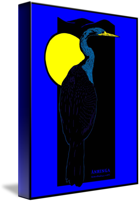 452x650 Anhinga And Night Sky
