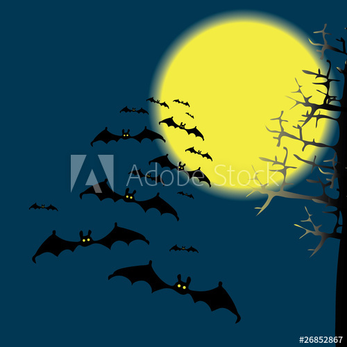 500x500 Bats In The Night Sky Vector Drawing