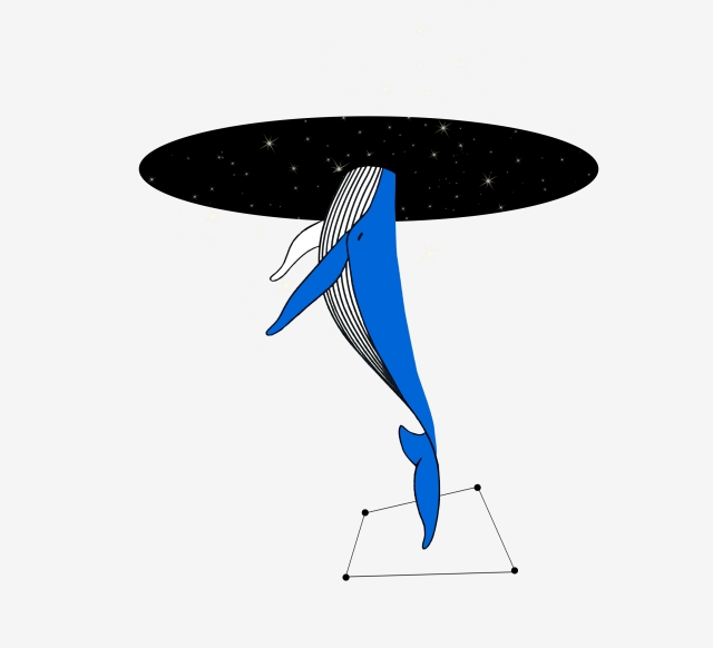 640x582 Blue Dolphin Starry Sky Dark Night, Star, Drill In, Simple Png