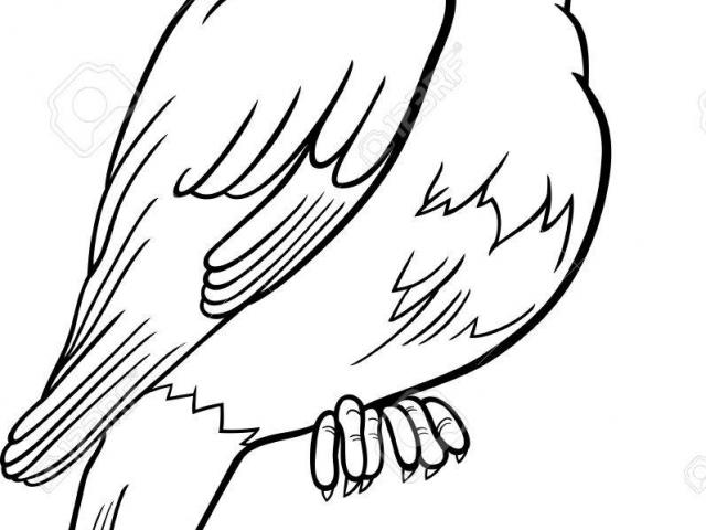 640x480 Free Nightingale Clipart, Download Free Clip Art